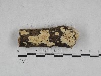 登錄號:F0028515藏品圖，第1張