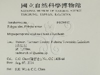 登錄號:F0028517藏品圖，第2張