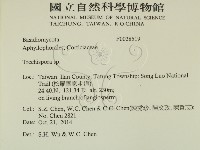登錄號:F0028519藏品圖，第2張