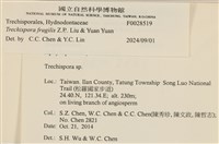 登錄號:F0028519藏品圖，第4張