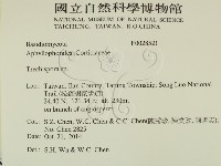 登錄號:F0028521藏品圖，第2張