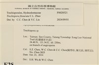 登錄號:F0028521藏品圖，第3張