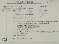 登錄號:F0028524藏品圖，第2張