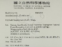 登錄號:F0028525藏品圖，第2張