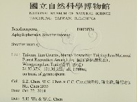 齒耳菌屬藏品圖，第2張