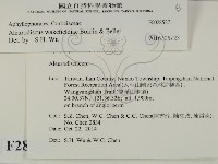 登錄號:F0028527藏品圖，第2張