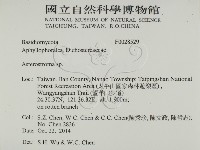 登錄號:F0028529藏品圖，第2張