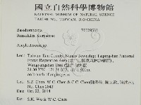 登錄號:F0028532藏品圖，第2張