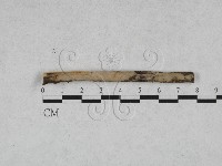 登錄號:F0028532藏品圖，第1張