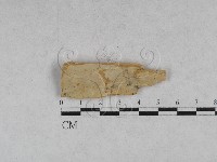 登錄號:F0028535藏品圖，第1張