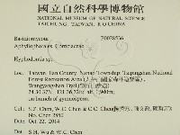 絲齒菌屬藏品圖，第2張