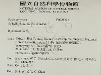 絲齒菌屬藏品圖，第2張