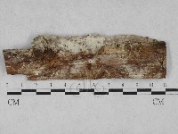 登錄號:F0028538藏品圖，第1張