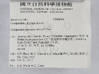 登錄號:F0028541藏品圖，第2張