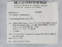 登錄號:F0028542藏品圖，第2張