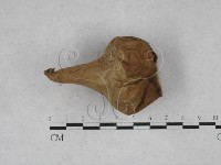 登錄號:F0028542藏品圖，第1張