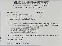 登錄號:F0028543藏品圖，第2張