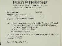 登錄號:F0028544藏品圖，第2張