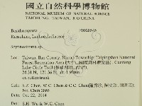 革墊菌屬藏品圖，第2張