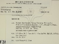 登錄號:F0028549藏品圖，第2張