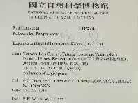 登錄號:F0028550藏品圖，第2張
