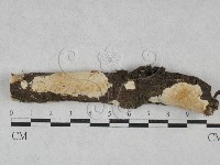 登錄號:F0028550藏品圖，第1張