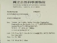 登錄號:F0028551藏品圖，第2張