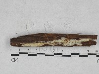 登錄號:F0028551藏品圖，第1張