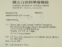 絲齒菌屬藏品圖，第2張