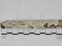 登錄號:F0028554藏品圖，第1張