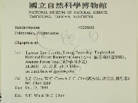 寡孔菌屬藏品圖，第2張