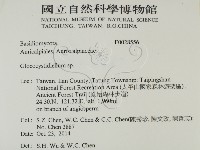 登錄號:F0028556藏品圖，第2張