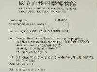 登錄號:F0028557藏品圖，第2張