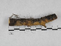 登錄號:F0028557藏品圖，第1張