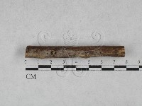 登錄號:F0028558藏品圖，第1張