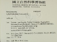 登錄號:F0028559藏品圖，第2張