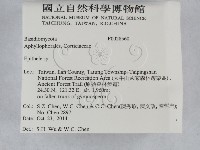 登錄號:F0028560藏品圖，第2張