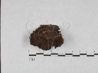 登錄號:F0028560藏品圖，第1張