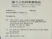 筍殼菌屬藏品圖，第2張