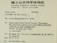 登錄號:F0028565藏品圖，第2張