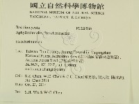 齒耳菌屬藏品圖，第2張