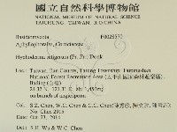 剛毛絲皮菌藏品圖，第2張