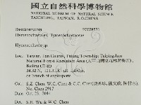 刺革菌屬藏品圖，第2張