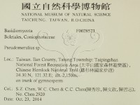 登錄號:F0028573藏品圖，第2張