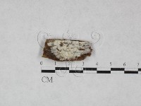 登錄號:F0028573藏品圖，第1張