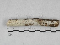 登錄號:F0028574藏品圖，第1張