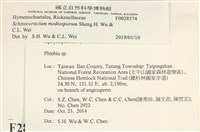 登錄號:F0028574藏品圖，第3張