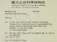 登錄號:F0028576藏品圖，第2張