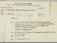 登錄號:F0028577藏品圖，第2張