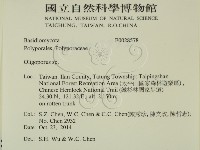 寡孔菌屬藏品圖，第2張